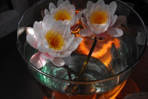 Perfection in a bowl!