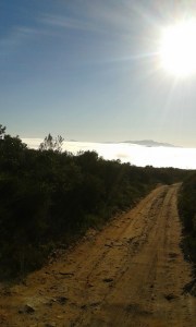 Road into the misty valley